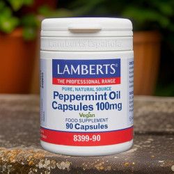 Aceite de Menta 50 mg (Peppermint Oil) - Lamberts - 90 Cápsulas