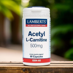 Acetil L-Carnitina 500 mg - Lamberts - 60 cápsulas